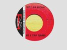 IKE & TINA TURNER - DUST MY BROOM - TANGERINE RECORDS - EX+ CONDITION