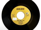 Tommy Burk & The Counts 45 She Told A Lie 1964 Rich-Rose Rare Garage Rock EX