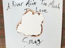 SMOG - A river ain't too much to love VINYL LP  Pre-owed but like new