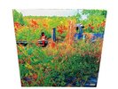 Jhene Aiko Trip Limited Edition Translucent Orange Double LP Vinyl.