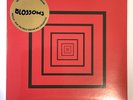 BLOSSOMS - You Pulled A Gun On Me - RSD 2016 - 7