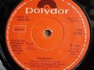 Irish Press - The Cure  - Primary -7 Single