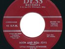 LITTLE DONNIE BOWSHIER - Rock And Roll Joys / Stone.. - DESS - Rockabilly 45
