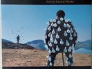 Pink Floyd - Delicate Sound Of Thunder - 2 Vinyl LP