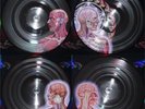 Tool - Lateralus (Double Picture Disc  LP Vinyl)  sealed