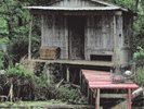 Jeffrey Lee Pierce & Cypress Grove - Anarchic Blues - FOLK NEW VINYL