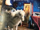 Infinity On High by Fall Out Boy (Record, 2016) 2LP