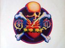 The Grateful Dead - Reckoning (Vinyl 2LP - 1981 - DE - Original)
