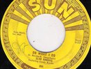 SLIM RHODES SUN 256 DO WHAT I DO  VG +  45 RPM