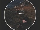 Feist - Let It Die - Vinyl - LP