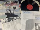 Spirit of Oi  American Style Vinyl Record Isd Skinhead