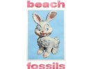 RT EXCLUSIVE | SIGNED | Beach Fossils - Bunny | [Green Vinyl LP]