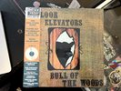 13th Floor Elevators 