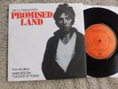 Bruce Springsteen - Promised Land/Streets Of Fire -  Irish Picture Sleeve PS 7
