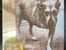Alice In Chains – Alice In Chains Coloured Import Vinyl 2LP