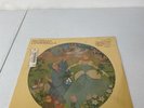 NEW SEALED 1981 Walt Disney Cinderella Original Soundtrack Vinyl LP Picture Disc