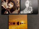 KATE BUSH REMASTERED IN VINYL BOX SET 1,2 &3. Brand New & Mint. Cost £240