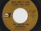 NORTHERN / SWEET SOUL 45 by THE ELECTRIFYING CASHMERES HEAR BOTH