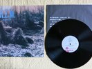 REM vinyl LP Murmur, IRS SP-70604, Stipe Buck Berry, EXC condition, Fast ship
