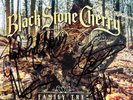 BLACK STONE CHERRY - *SIGNED* FAMILY TREE WITH SIGNED INSERT