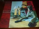 DON CABALLERO 33 RPM LP FOR RESPECT ROCK INSTRO HARDCORE ORIG TOUCH AND GO 1993