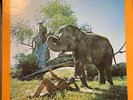 Hugh Masekela - I Am Not Afraid - Used Vinyl Record - C6035A