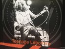 The Ramones - Teenage Lobotomy - rare vinyl record