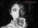 Kate Bush - The Sensual World (2018 Remaster) | [Grey Vinyl LP] |