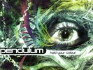 Pendulum Hold Your Colour (Vinyl) Limited  12