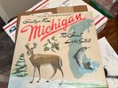 Sufjan Stevens Michigan State AKR BLUE GREEN COLOR 2LP Vinyl Record University