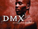 New Music DMX 