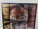Guns N Roses Appetite For Destruction Limited Edition NUMBERED 2981/3000 LP RARE
