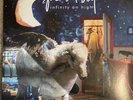 Fall Out Boy Infinity on High Exclusive Blue Glitter Limited Edition Vinyl 2XLP