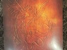 can't catch me now (limited etched 7” vinyl) - olivia rodrigo hunger games