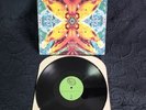 ACID HORSE - No Name No Slogan (NM) Vinyl Record 12
