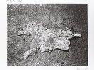 ORA ISO Bathcat (Vinyl LP)