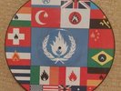Stiff Little Fingers Flags And Emblems Vinyl LP 12