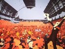 CHEMICAL BROTHERS, The - Surrender - Vinyl (gatefold 2xLP)