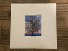 Talk Talk - Spirit Of Eden vinyl LP - EMI PCSD105 - 1988 Tested and Working VG+