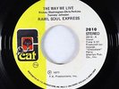 Modern Soul 45 - Raw Soul Express - The Way We Live - Cat - VG+