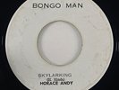 Horace Andy 