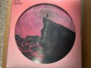 ROGER TAYLOR QUEEN - OUTSIDER PICTURE DISC VINYL LP 2000 ONLYNUMBERED