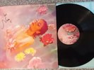 Signed - Nina Nesbitt - The Sun Will Come Up, The Seasons Will Change Vinyl LP