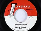 Northern Soul R&B 45 - Eskew Reeder - Undivided Love - Instant - VG+