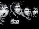 THE RAPTURE Echoes LP NEW VINYL DFA reissue