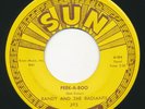 Garage 45 - RANDY & RADIANTS - Peek-A-Boo / Mountain’s High - SUN   60s Rock