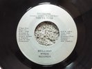 RARE MICHIGAN SOUL BOOGIE-BRILLIANT MINDS RECORDS 105-TAN'YA ROSS-DECISIONS-45