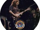 Grateful Dead Live 1980 (Vinyl) 12