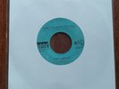 Capt. Groovy And His Bubblegum Army ‎Vinyl 7