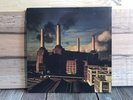 Pink Floyd ANIMALS 12